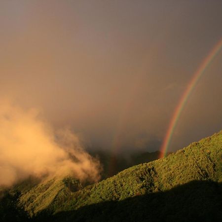Hill Top Kiso Bagian luar foto